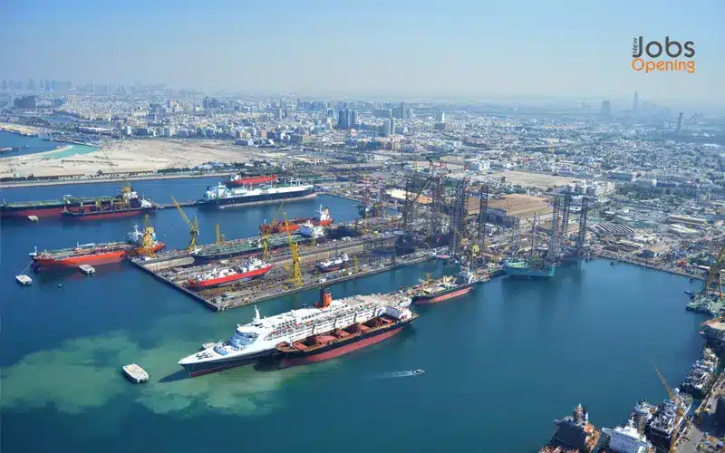 Drydocks World Careers Offshore Company In Dubai - UAE