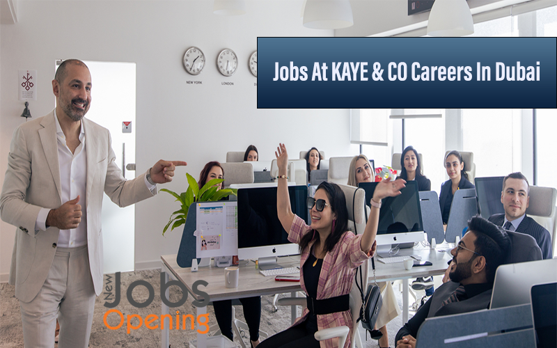 Jobs At KAYE & CO Careers In Dubai
